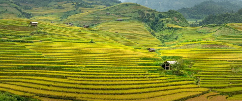 Kho gạo của Thu Lý(mega Farm)